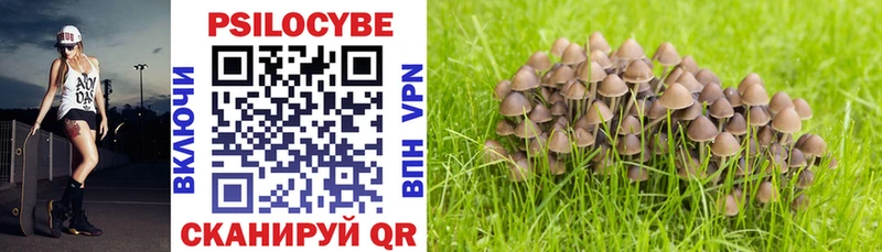 Купить закладки  Тотьма  Галлюциногенные грибы Psilocybe 